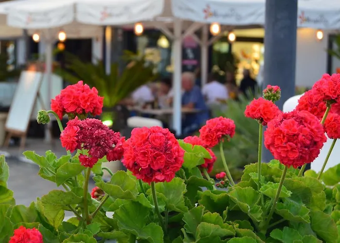 Residencial Noray Duplex 26 *